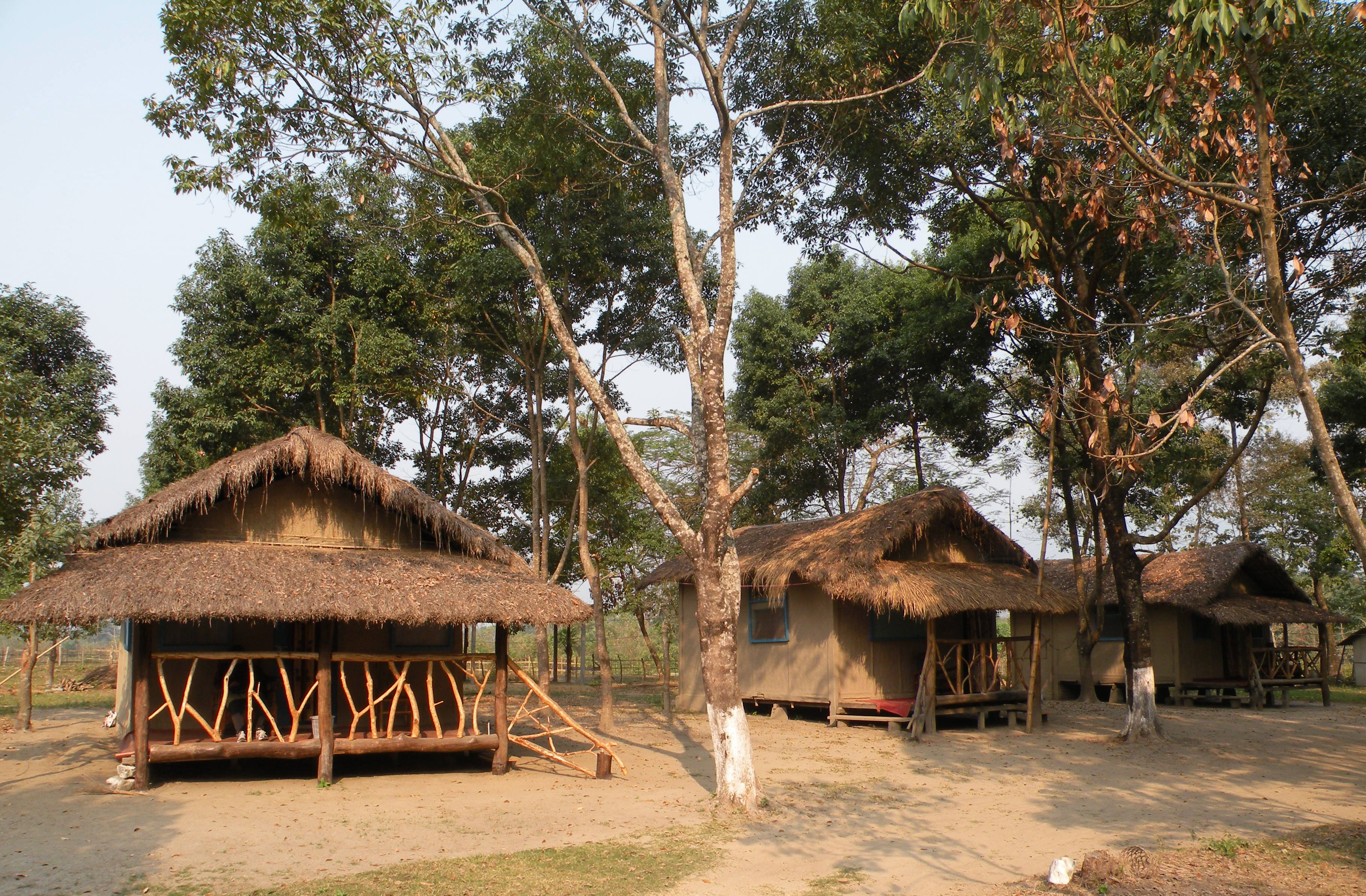 Manas Jungle Camp