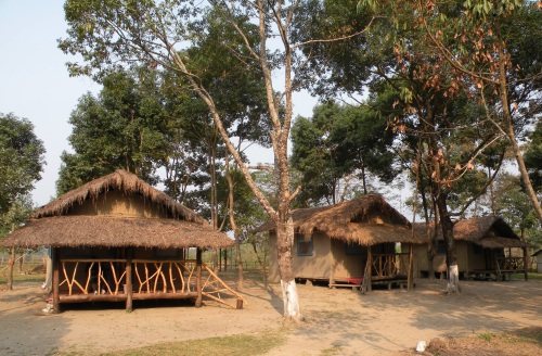 Manas Jungle Camp